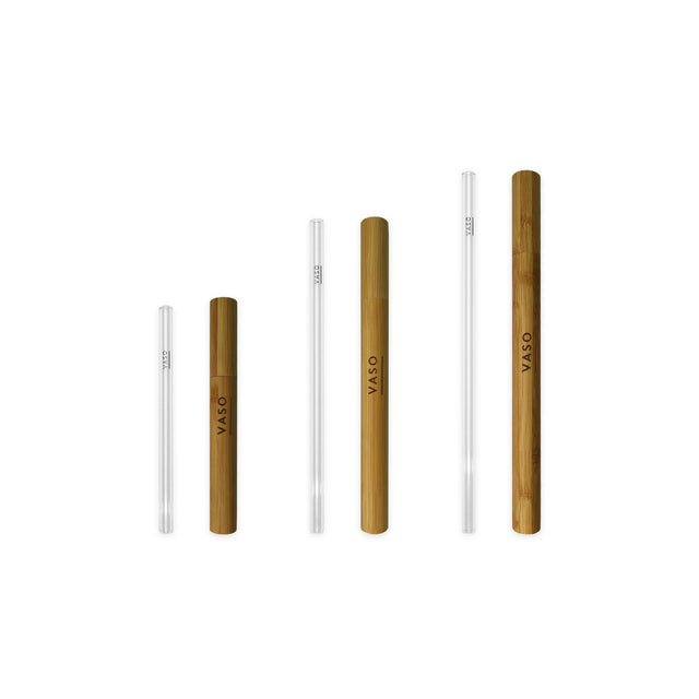 VASO Premium Glass Straw and Bamboo Case Set